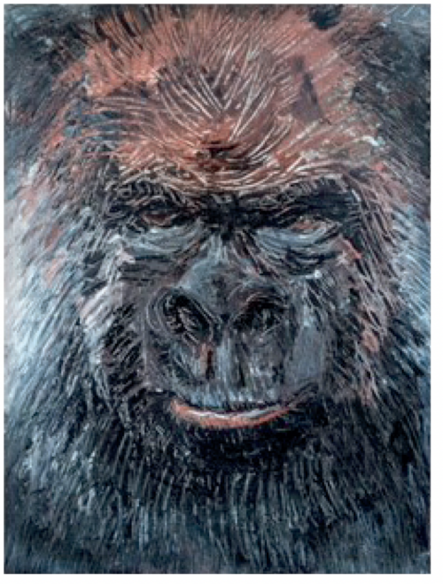 Gorilla